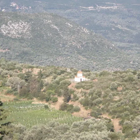 San Pedro Daire Vasiliki